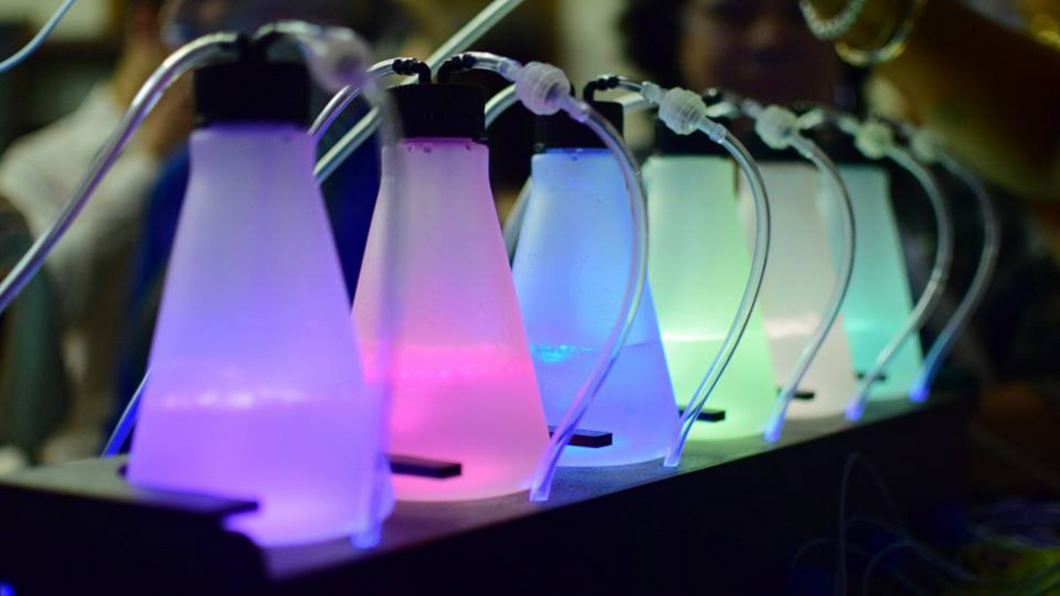 Our Oxygen Bar is over 95% pure oxygen and helps increase energy, increase circulation, headache and hangover relief.